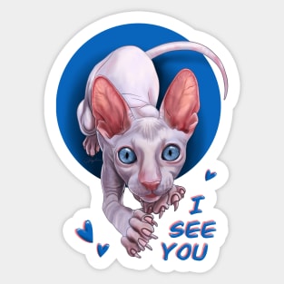 Cat Pink Sphynx. I See You. Sticker